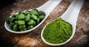 spirulina in polvere